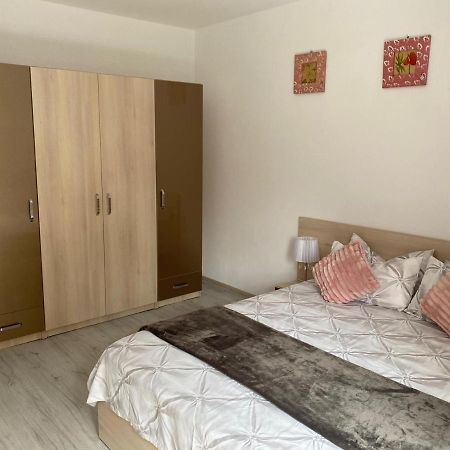 Rebeca Apartament Lugoj Buitenkant foto