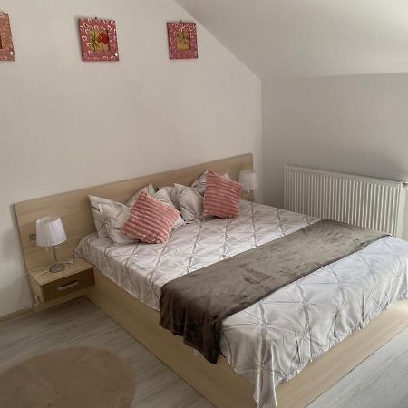 Rebeca Apartament Lugoj Buitenkant foto