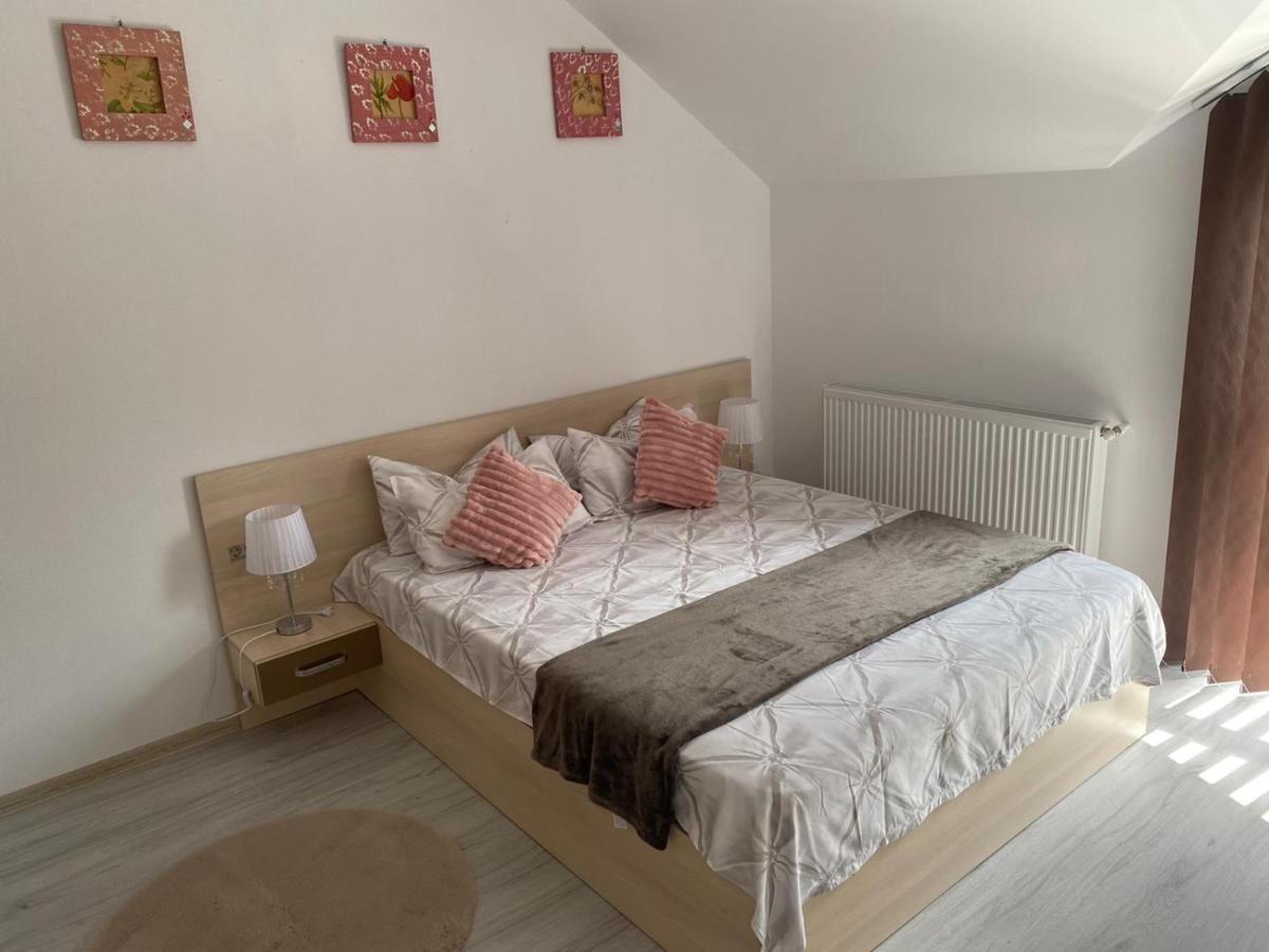 Rebeca Apartament Lugoj Buitenkant foto
