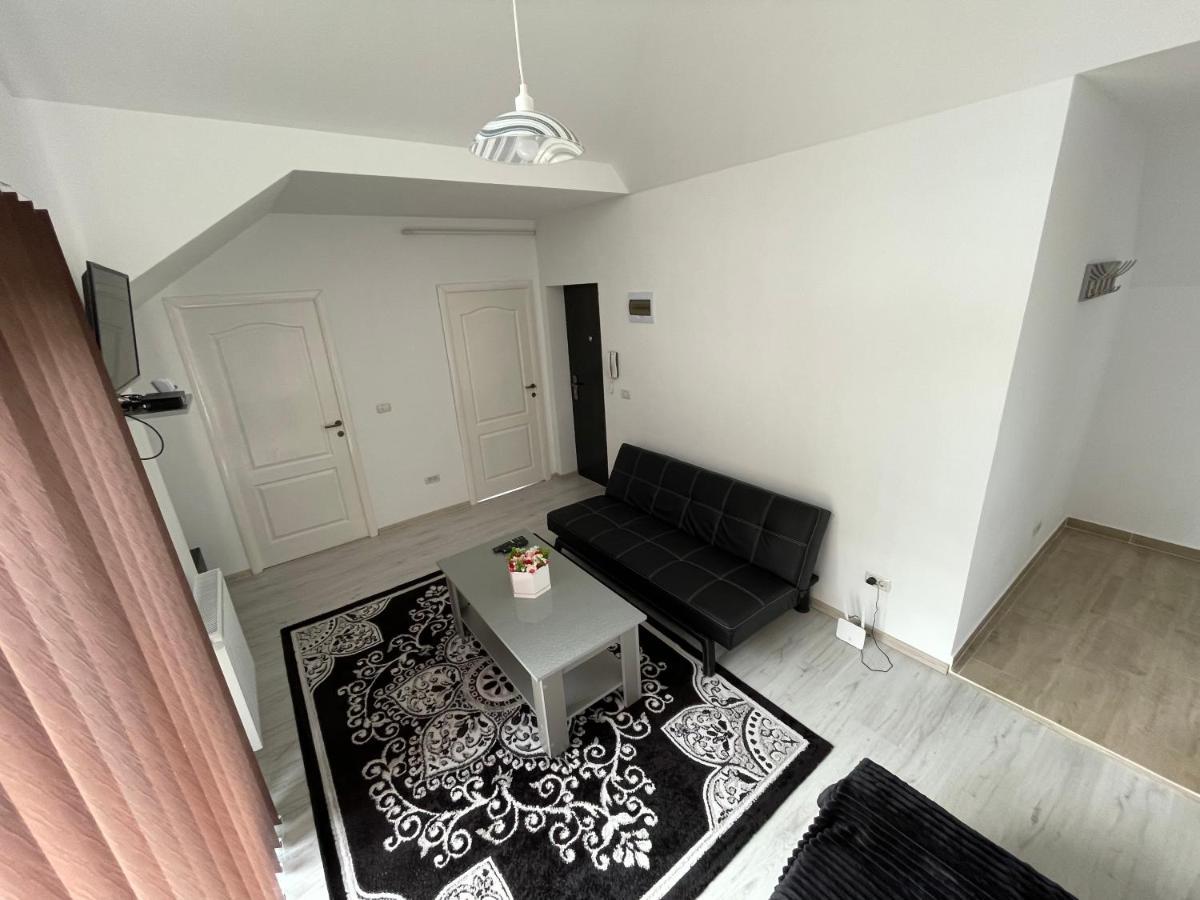 Rebeca Apartament Lugoj Buitenkant foto